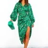 A Class Of Your Own - Green Blue Leopard Midi Dress