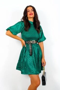Fashion Clothing Store 22 Embrace You - Emerald Leopard Print Mini Dress