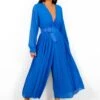 The Pleat Is On - Cobalt Pleated Jumpsuit